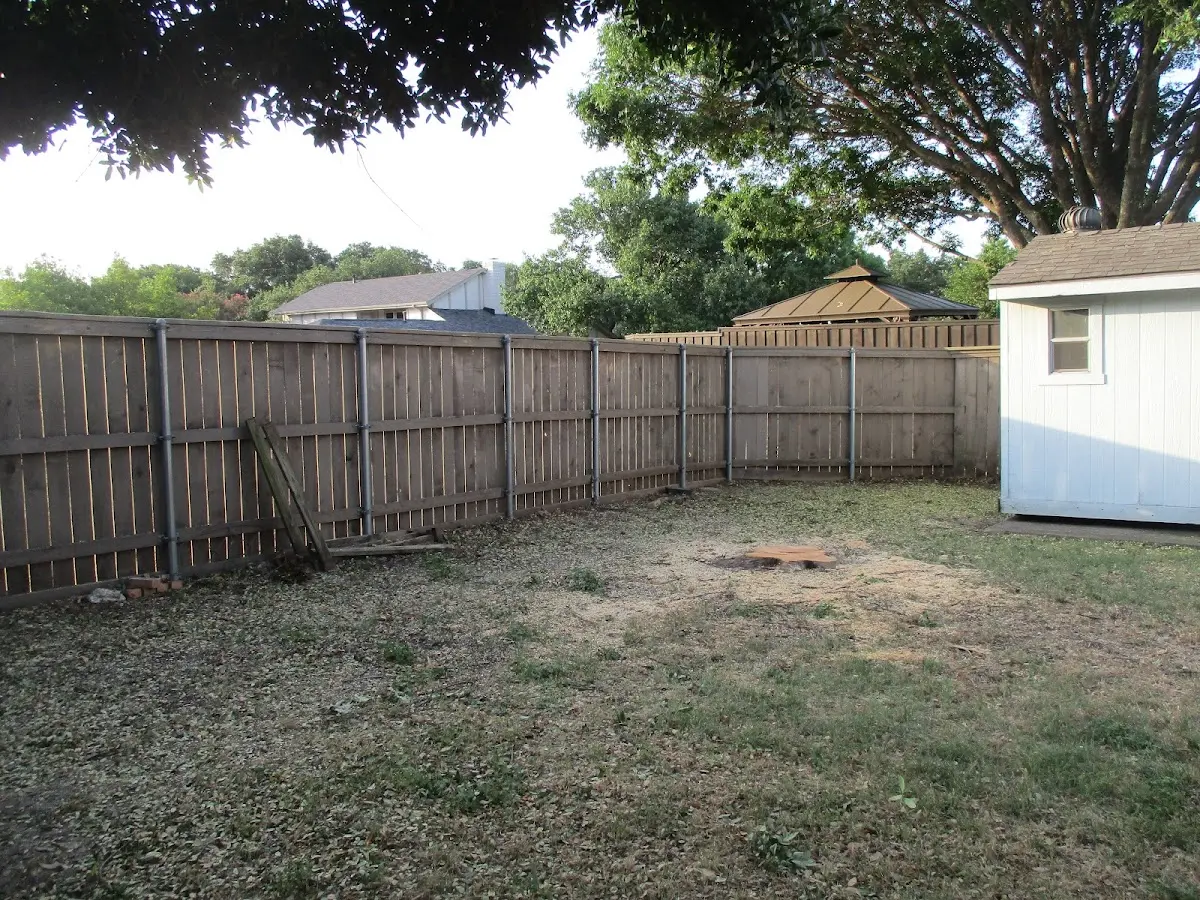 Cleared yard after professional tree removal in Grenada
